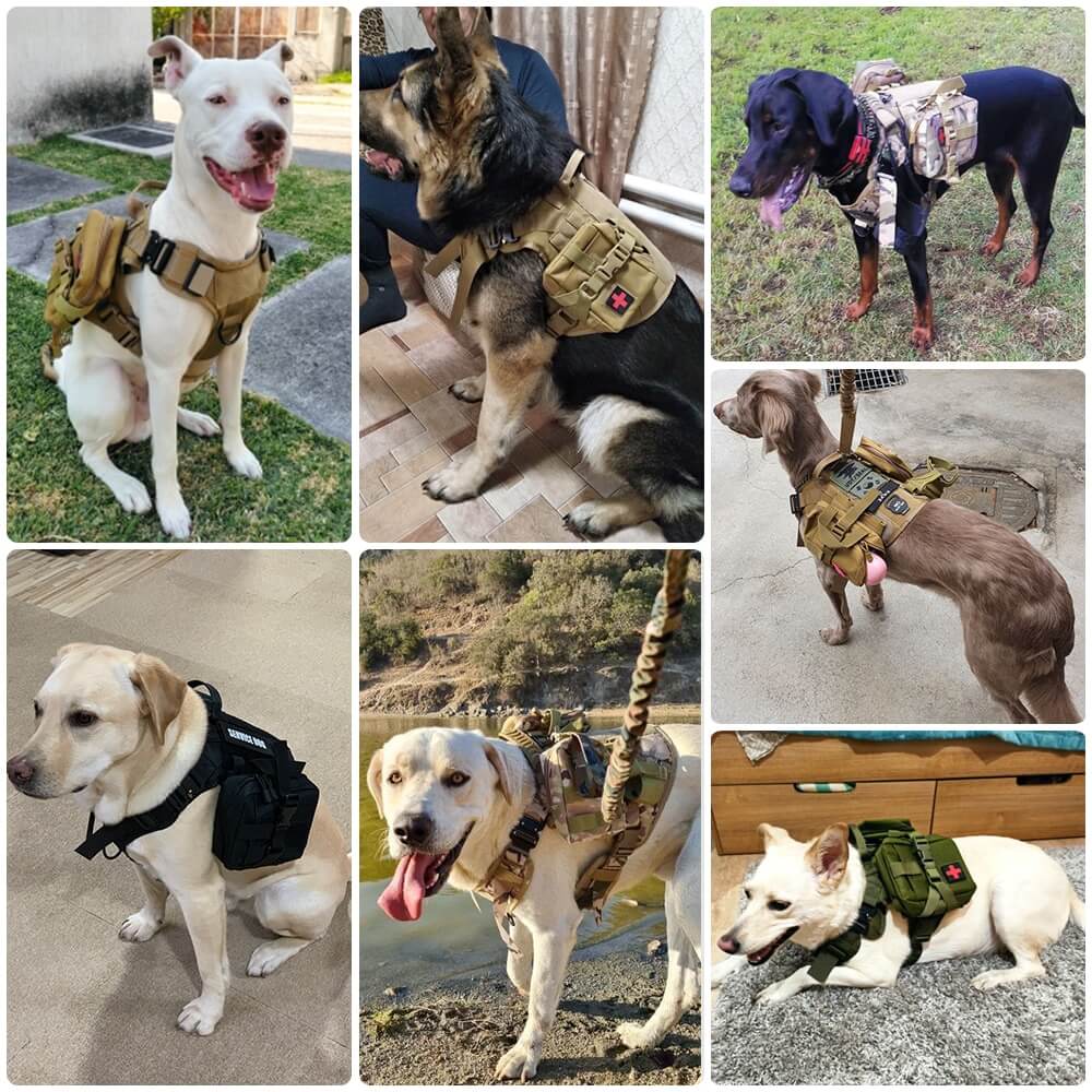 k9 Tactical Dog Harness Wowpetsmart