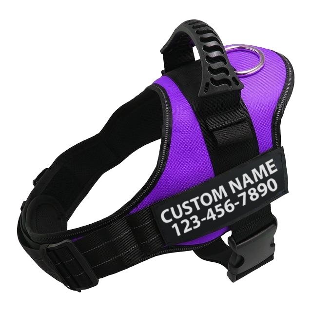 Personalized Dog Harness - Wowpetsmart