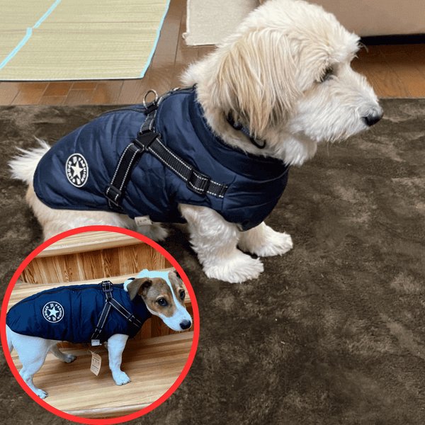 Wowpetsmart® - Waterproof Winter Dog Jacket with Built-in Harness - Wowpetsmart