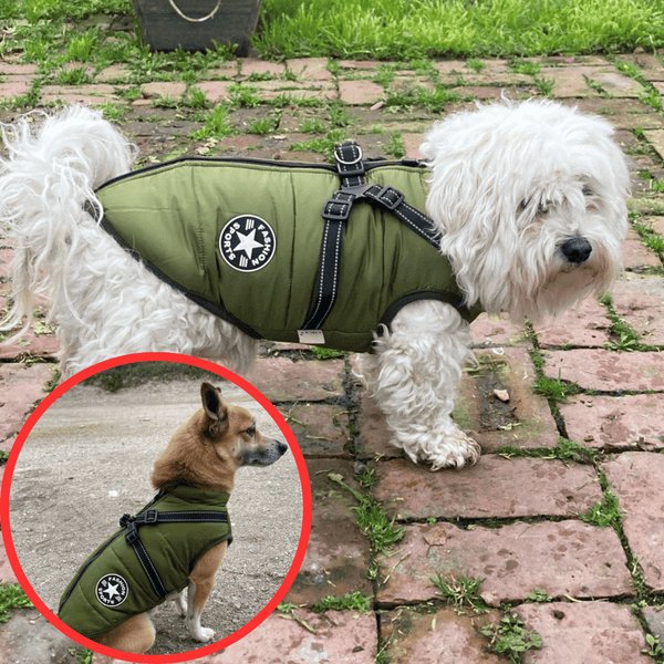 Wowpetsmart® - Waterproof Winter Dog Jacket with Built-in Harness - Wowpetsmart